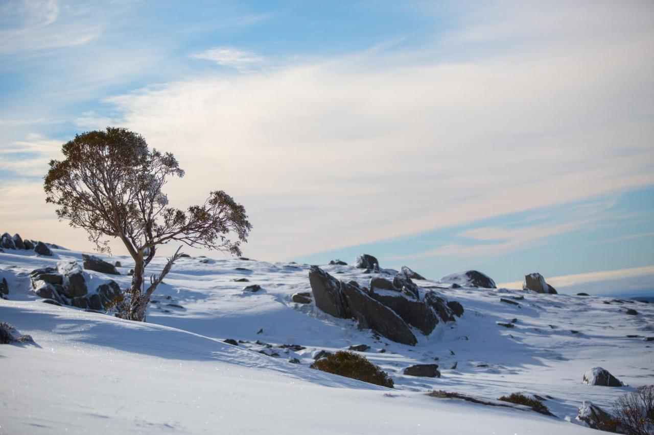 Aneeki Ski Lodge Thredbo Exterior foto